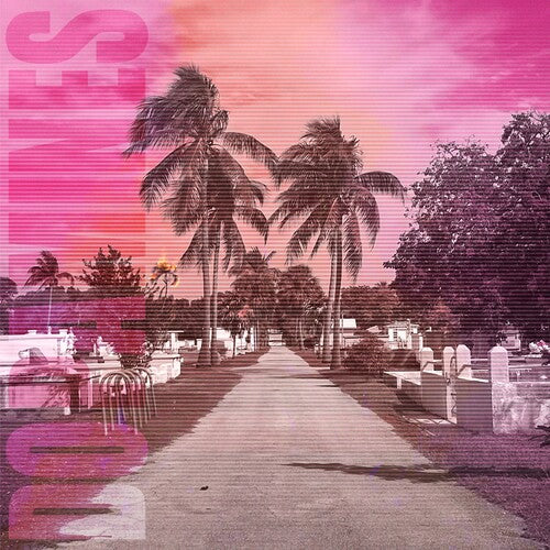 The Dopamines: 80/20 [ Vinyl ]