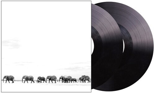 Dave Matthews: Where Are You Going: The Singles [ Vinyl ]