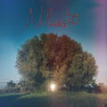 Donatella Montinaro: Uliveto - CD