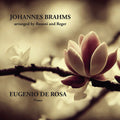 Johannes Brahms: Brahms: Arranged by Busoni & Reger - Compact Disc