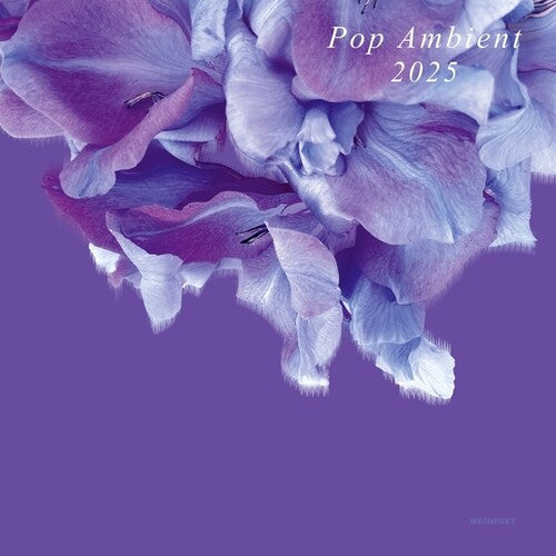 Various Artists: Pop Ambient 2025 [ Vinyl ]