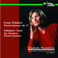 Copenhagen Philharmonic: Wandererfantasie, Der Wanderer - Compact Disc