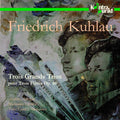 Adorjan, a. / Henkel, M.: Trois Grands Trios Op. 86 - Compact Disc