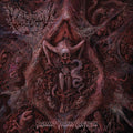 Vulvectomy: Aberrant Vaginal Gestation - CD