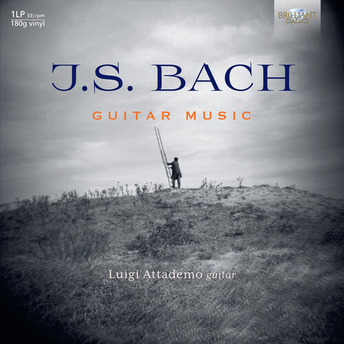 Luigi Attademo: Guitar Music [ Vinyl ]