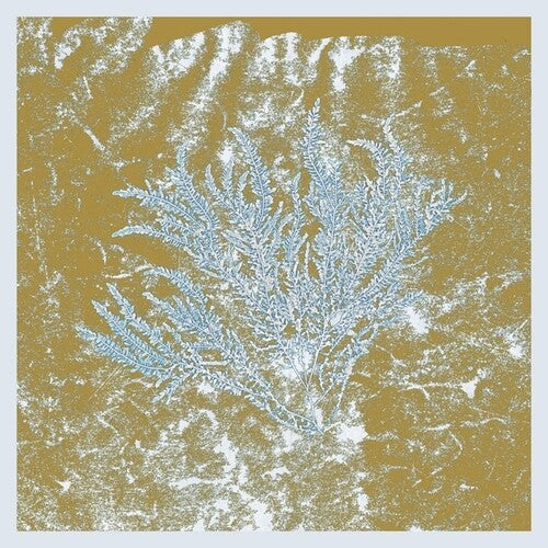 Huerco S: For Those Of You Who Have Never (And Also Those Who Have) [ Vinyl ]