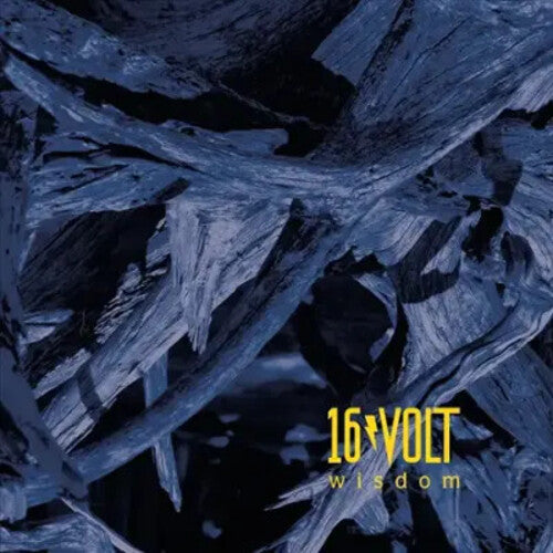 16Volt: Wisdom [ Vinyl ]