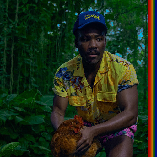 Childish Gambino: Bando Stone And The New World [ Vinyl ]