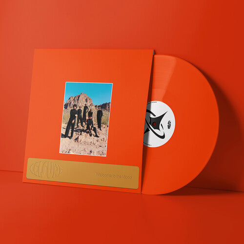 Leisure: Welcome to the Mood [ Vinyl ]