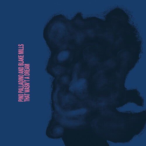 Pino Palladino & Blake Mills: That Wasn't A Dream - CD