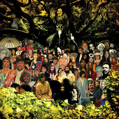 Devendra Banhart: Cripple Crow (20th Anniversary Deluxe) - Black/Green [ Vinyl ]