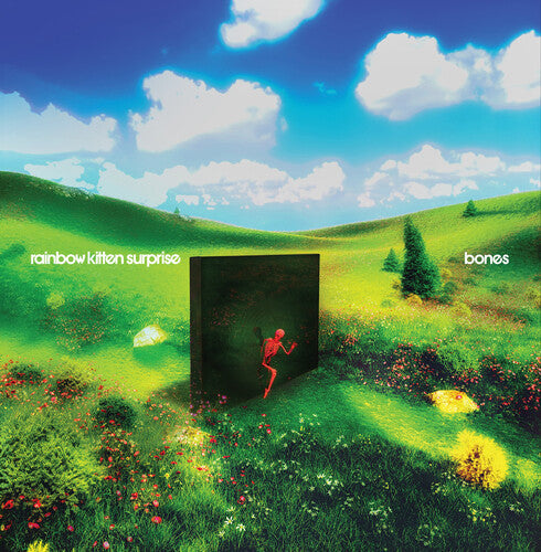 Rainbow Kitten Surprise: bones     (Black Vinyl) [ Vinyl ]