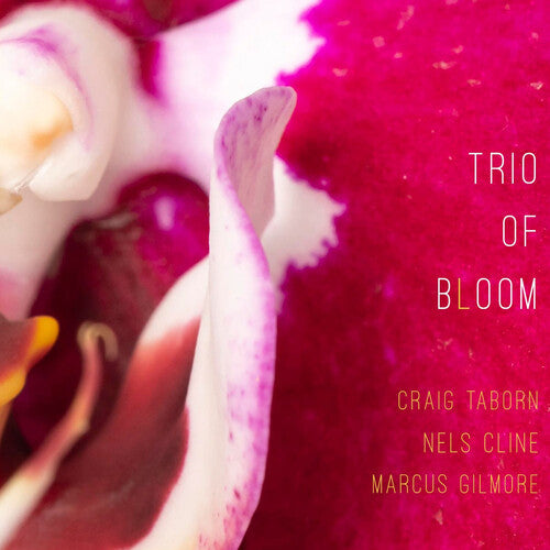 Trio of Bloom: Trio Of Bloom - CD