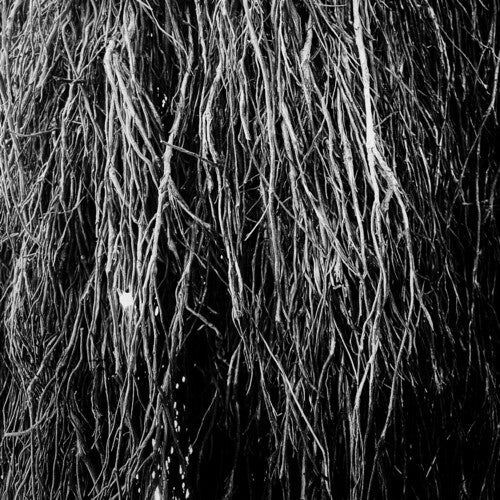 Eraldo Bernocchi: Nocturnal Rainforest [ Vinyl ]