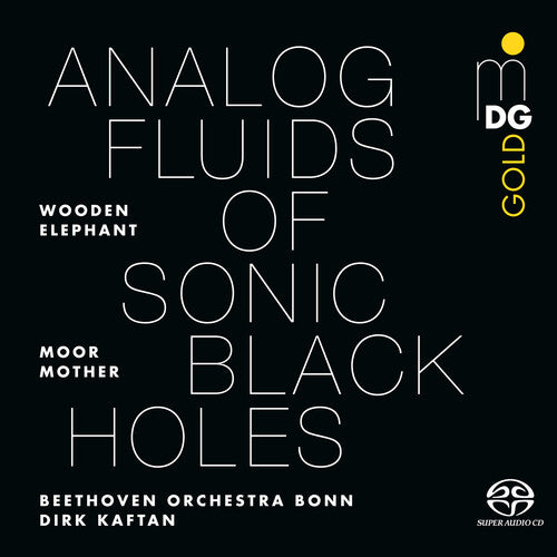 Moor Mother: Analog Fluids of Sonic Black Holes [ Vinyl ]