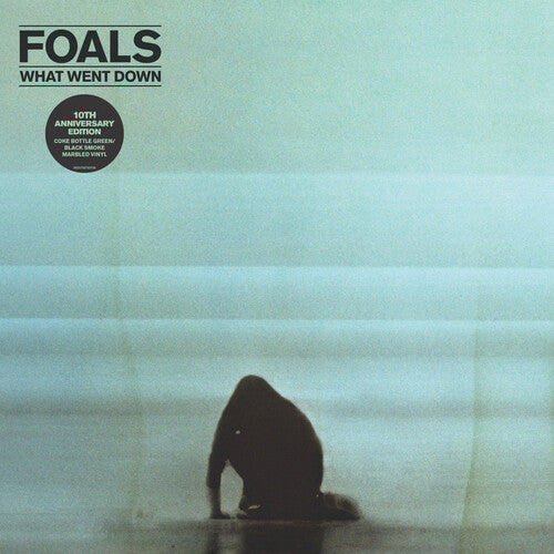 Foals: What Went Down [ Vinyl ]