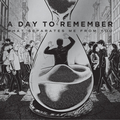 Day to Remember: What Separates Me From You [ Vinyl ]