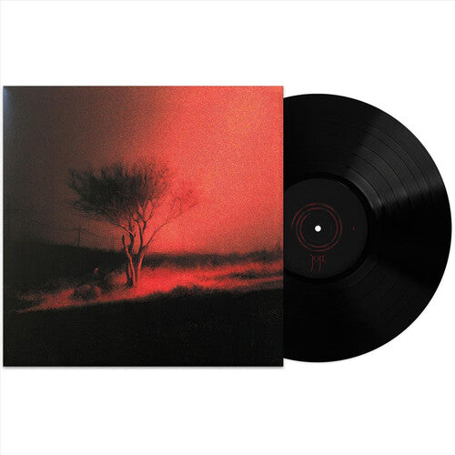 Joji: Piss In The Wind [ Vinyl ]