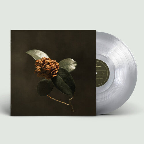 St. Paul & the Broken Bones: Young Sick Camellia [ Vinyl ]