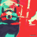 Jeffrey Martin: Alive, July 25 2025 - Compact Disc