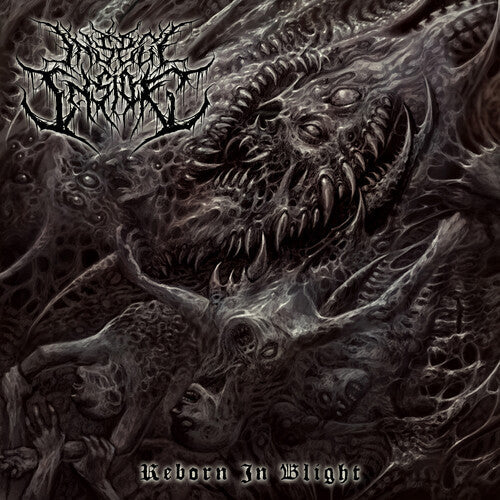 Insect Inside: Reborn In Blight - CD