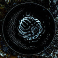 Stonus: Stonus - VINYL