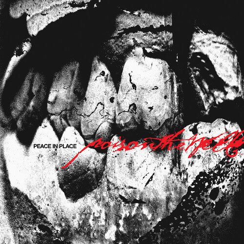 Poison the Well: Peace In Place [ Vinyl ]
