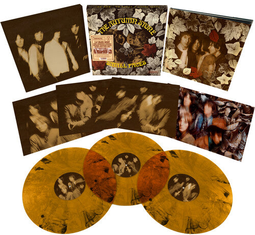The Small Faces: The Autumn Stone [ Vinyl ]