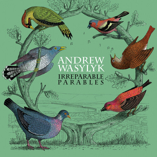 Andrew Wasylyk: Irreparable Parables - Pink Vinyl [ Vinyl ]