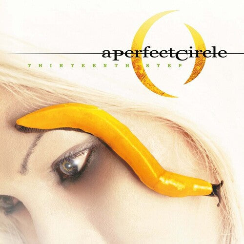 A Perfect Circle: Thirteenth Step [ Vinyl ]