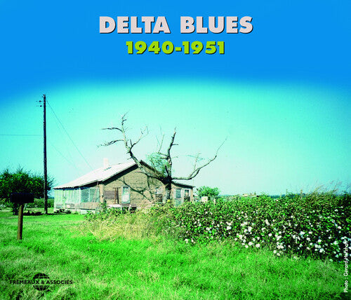 Various Artists: Delta Blues 1940-51 - Compact Disc