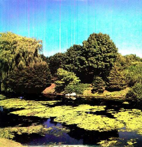 Shellac: Terraform [ Vinyl ]