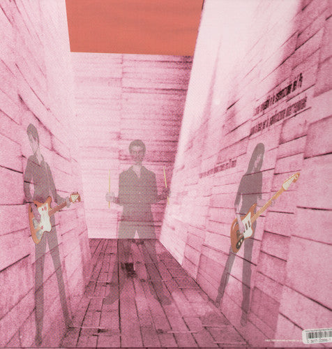 Blonde Redhead: In An Expression of the Inexpressible [ Vinyl ]