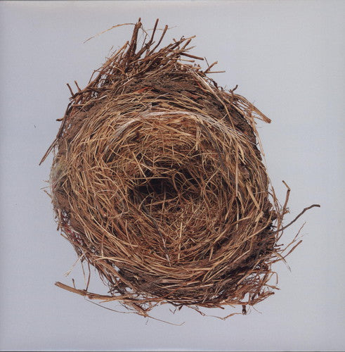 Wilco: A Ghost Is Born [ Vinyl ]