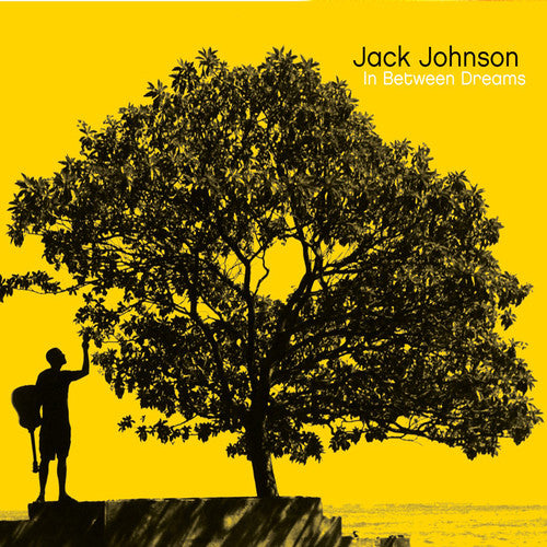 Jack Johnson: In Between Dreams [ Vinyl ]
