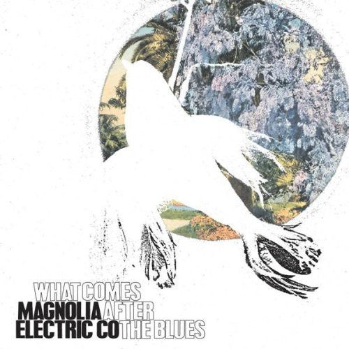 Magnolia Electric Co.: What Comes After the Blues [ Vinyl ]