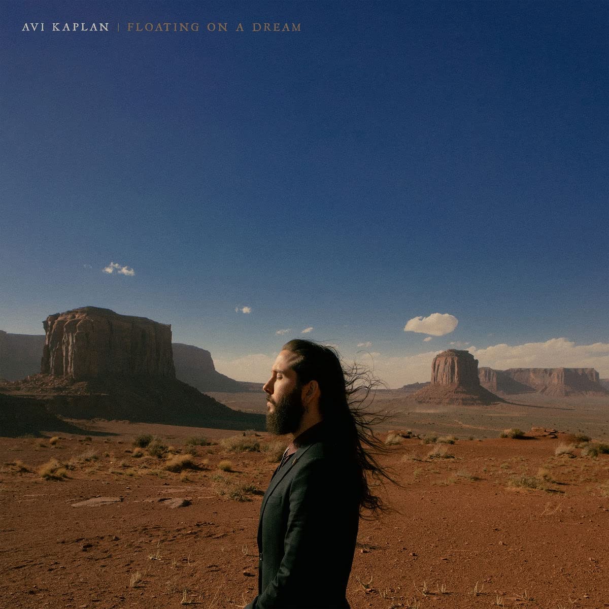 Avi Kaplan: Floating On A Dream [ Vinyl ]