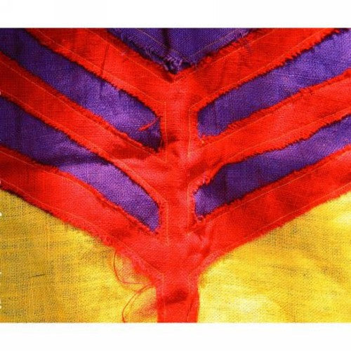 Yeah Yeah Yeahs: Show Your Bones [ Vinyl ]